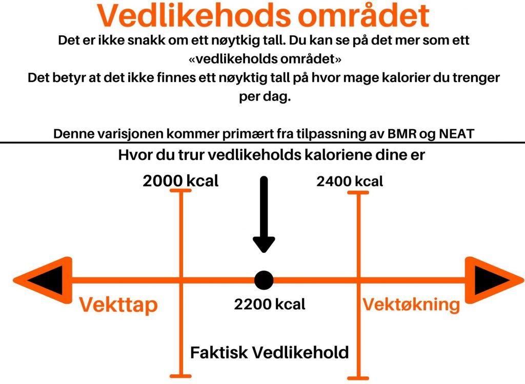 Hvor Mange Kalorier Forbrenner Jeg